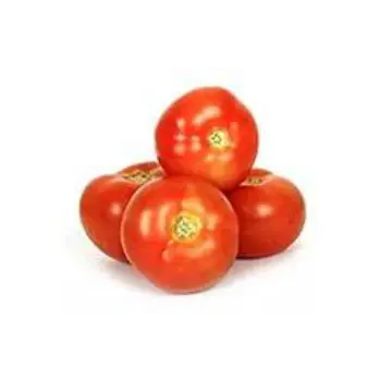 tomato06-6784362-29510.webp
