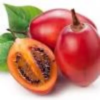 tomato06-8258939-25950.webp