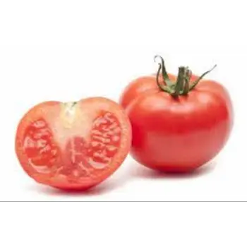 tomato07-402926-54961.webp