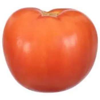 tomato08-6621554-17743.webp