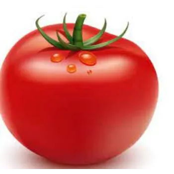 tomato08-8527397-67722.webp