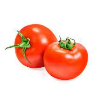 tomato08-8545335-71167.webp