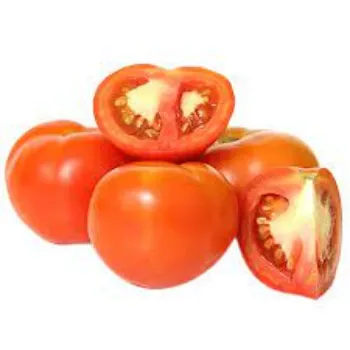 tomato09-8381121-98544.webp