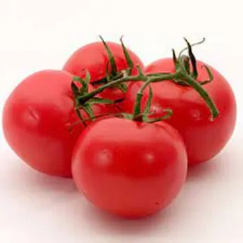 tomato10-2167465-30609.webp
