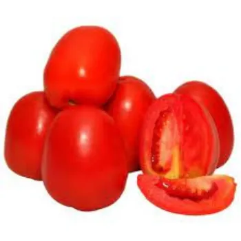 tomato10-4567560-76869.webp