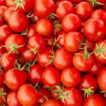 tomato11-2726009-95679.webp
