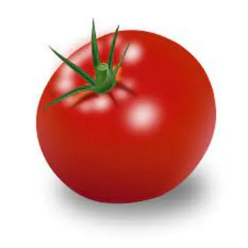 tomato11-7491380-12746.webp