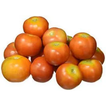 tomato11-8678280-66892.webp
