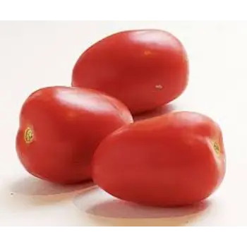 tomato12-1704557-63898.webp