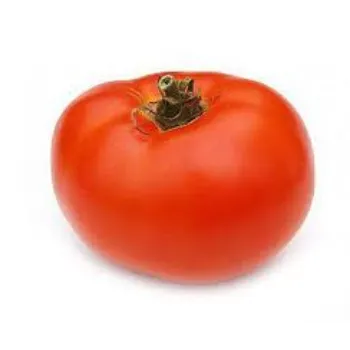 tomato12-4785137-34773.webp