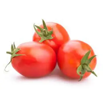 tomato12-8891825-65804.webp