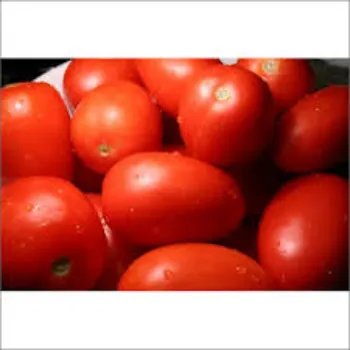 tomato13-9489683-95178.webp