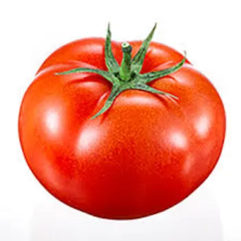 tomato15-2623567-98833.webp