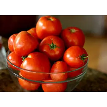 tomato15-7712135-45555.webp