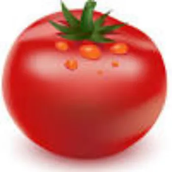 tomato16-6151181-4923.webp