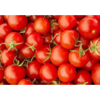 tomato16-7216268-49103.webp