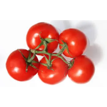 tomato17-209686-26196.webp