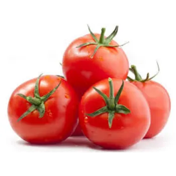 tomato18-2374539-60419.webp