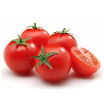 tomato18-8382653-47490.webp