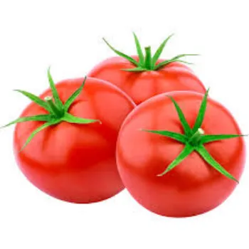 tomato19-3332667-57251.webp