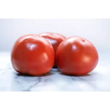 tomato19-552076-96949.webp