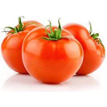 tomato2-7262724-31054.webp