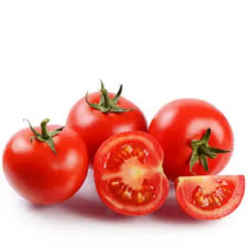 tomato20-3765877-86051.webp