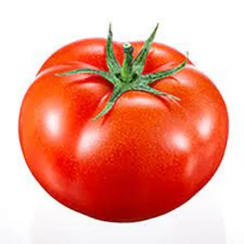 tomato20-7125503-18935.webp