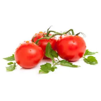 tomato3-4896966-90177.webp
