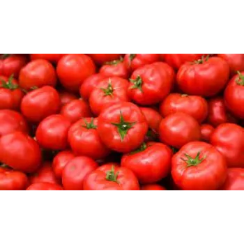 tomato3-6931190-82103.webp
