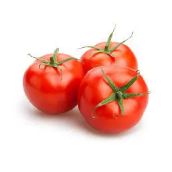 tomato4-9779786-42438.webp