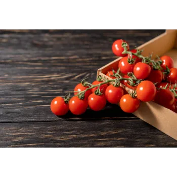 tomato43-2095184-26520.webp