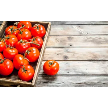 tomato44-4148205-43299.webp
