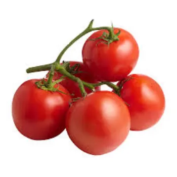 tomato5-3417354-22814.webp