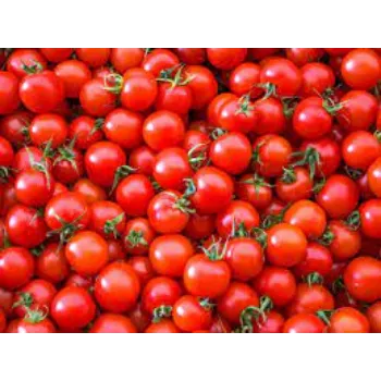 tomato5-5465164-89841.webp