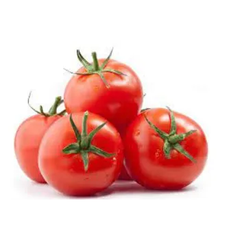 tomato6-1042506-60014.webp