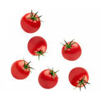 tomato6-4782687-24657.webp