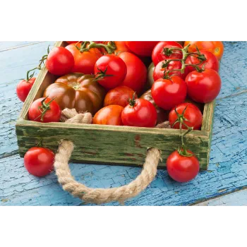 tomato60-4893178-53988.webp