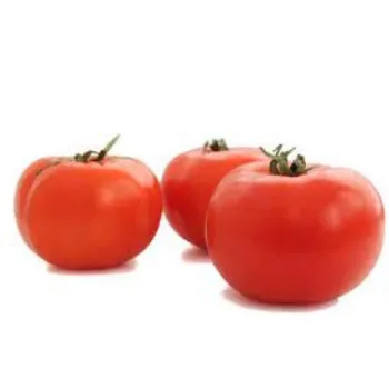 tomato9-4342285-90332.webp
