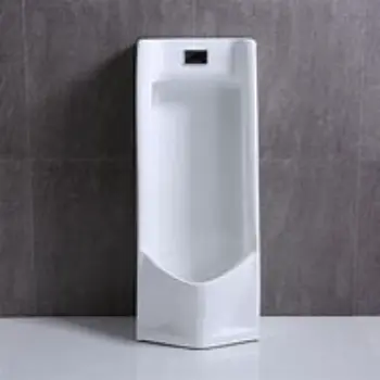 urinal-05-1333582-52452.webp