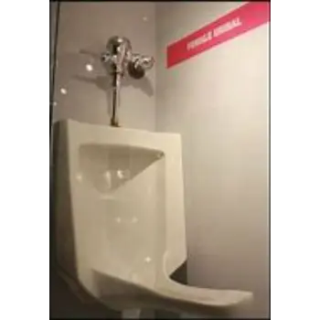 urinal-06-5169781-86903.webp