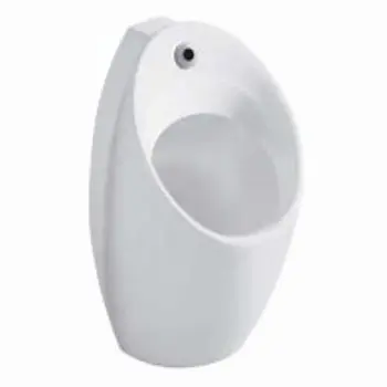 urinal-09-9627994-46155.webp