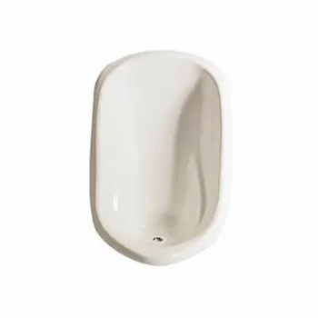 urinal-1-4327141-33417.webp