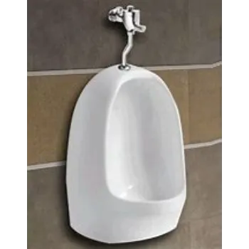 urinal-1-7343794-30503.webp