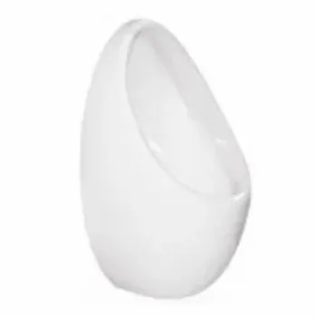 urinal-2-4535884-35528.webp