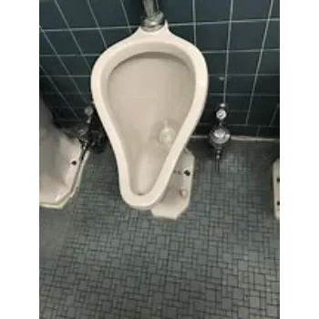 urinal-2-7035719-38958.webp
