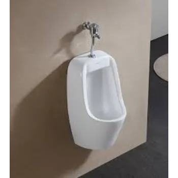 urinal-3-2396306-96214.webp