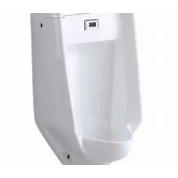 urinal-3-3684794-83006.webp