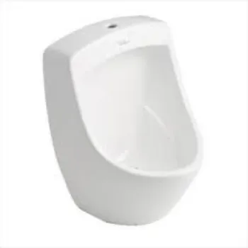 urinal-3-9437716-88479.webp