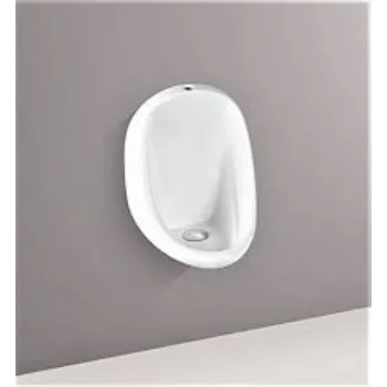 urinal-4-4227320-7843.webp